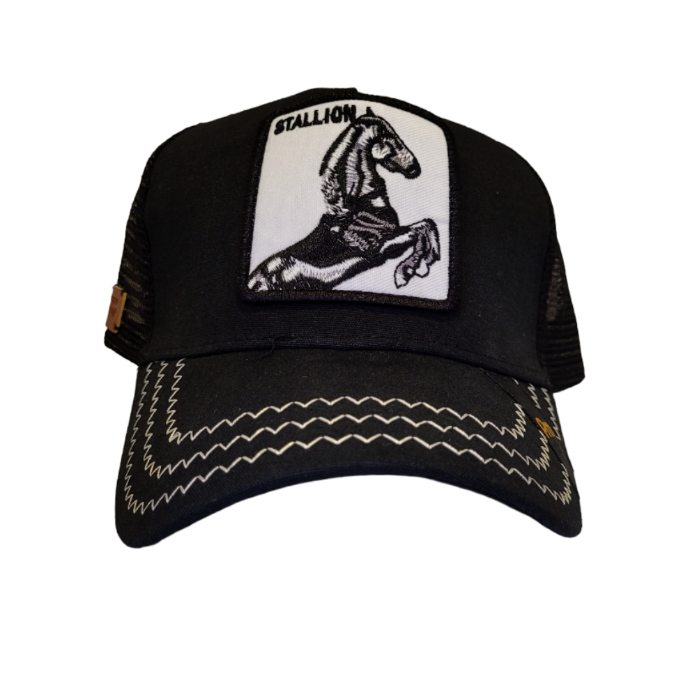 Jockey Stallion Black