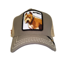 Cargar imagen en el visor de la galería, Jockey Pittbull Grey
