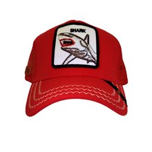 Cargar imagen en el visor de la galería, Jockey Shark Red
