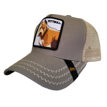 Cargar imagen en el visor de la galería, Jockey Pittbull Grey
