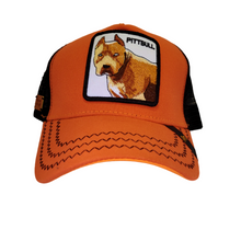 Cargar imagen en el visor de la galería, Jockey Pittbull Orange
