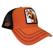 Cargar imagen en el visor de la galería, Jockey Pittbull Orange
