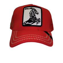 Cargar imagen en el visor de la galería, Jockey Stallion Red
