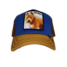 Cargar imagen en el visor de la galería, Jockey Pittbull Blue
