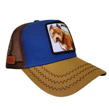 Cargar imagen en el visor de la galería, Jockey Pittbull Blue
