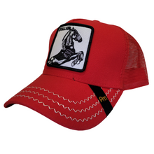 Cargar imagen en el visor de la galería, Jockey Stallion Red
