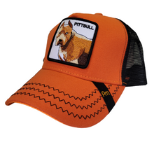 Cargar imagen en el visor de la galería, Jockey Pittbull Orange
